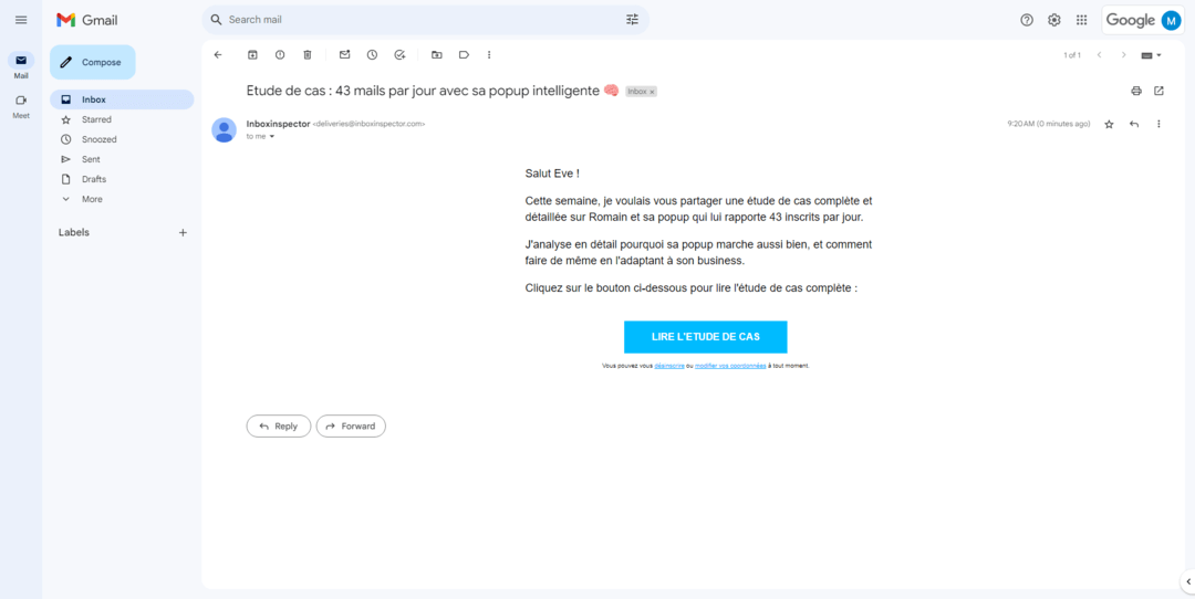 idées de newsletter originale